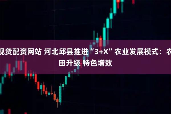 现货配资网站 河北邱县推进“3+X”农业发展模式：农田升级 特色增效