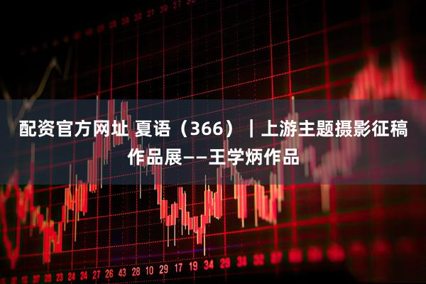 配资官方网址 夏语（366）｜上游主题摄影征稿作品展——王学炳作品