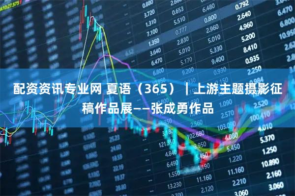 配资资讯专业网 夏语（365）｜上游主题摄影征稿作品展——张成勇作品